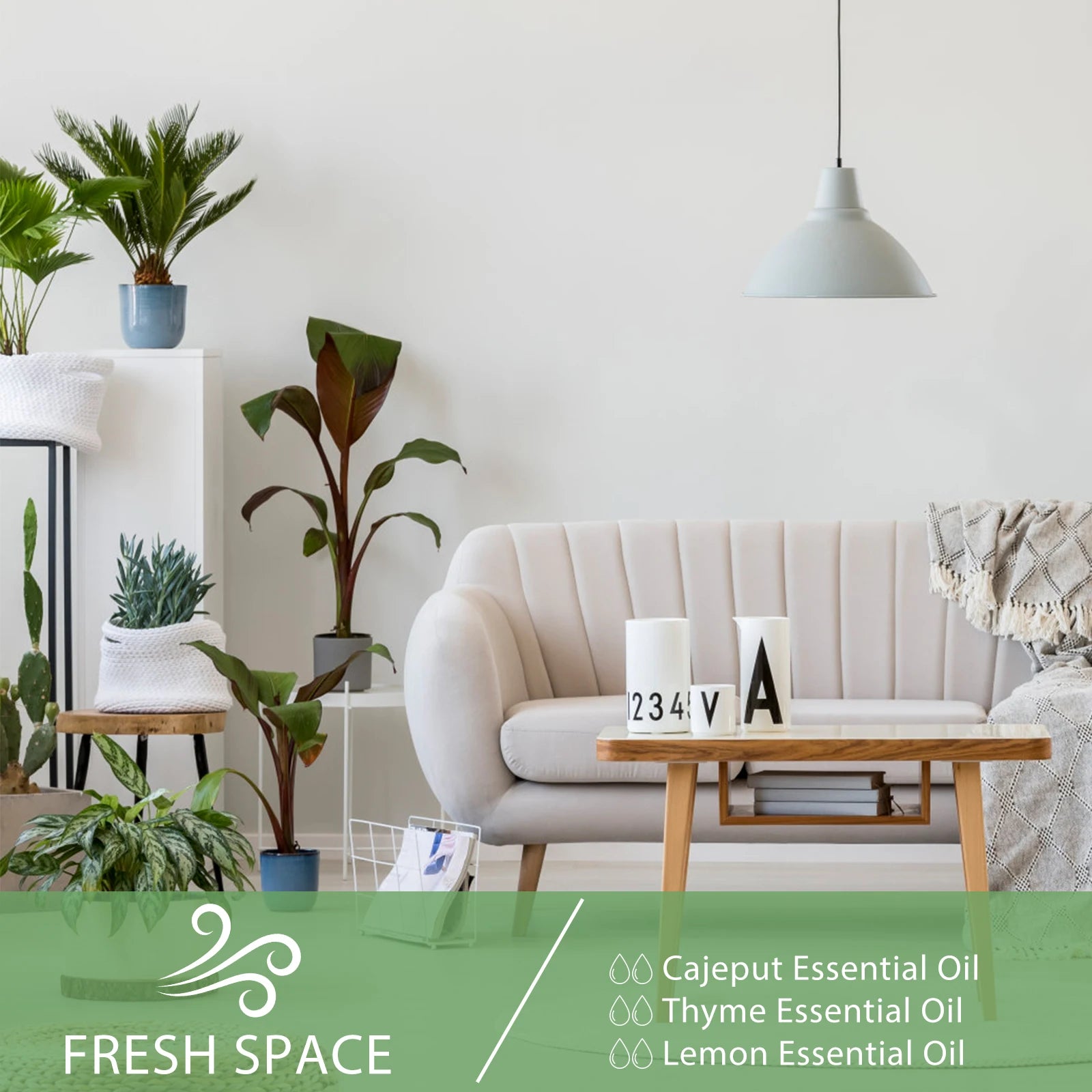Modern living room with plants and a sofa, featuring Fresh Space essential oils.